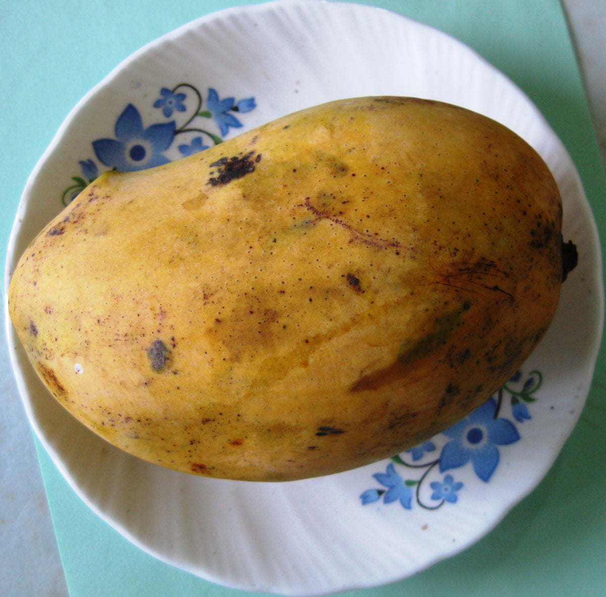 White Chaunsa Per Kg
