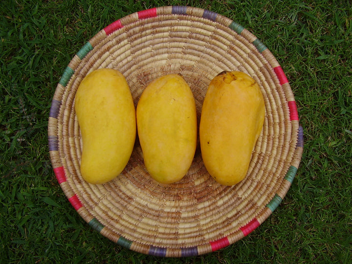 Sindhri Mango Per Kg