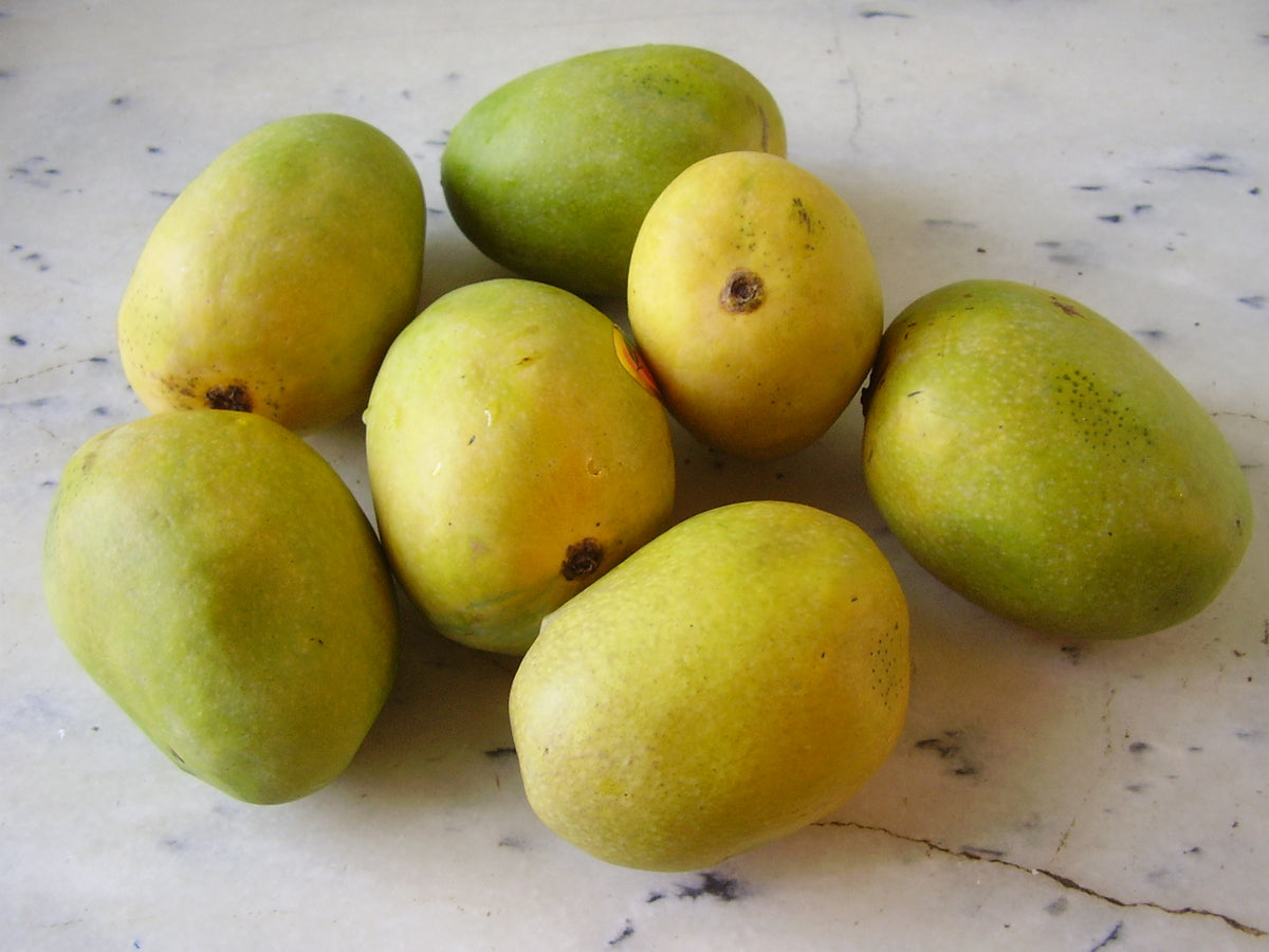 Anwar Ratol Mango Price Per Kg in Pakistan | Fresh Sweet Mangoes