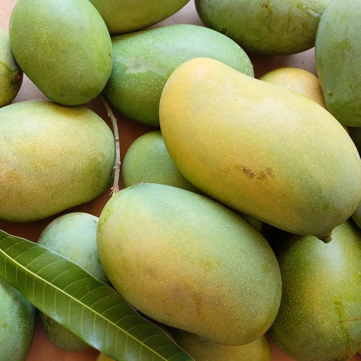 Dusehri Mango Per Kg